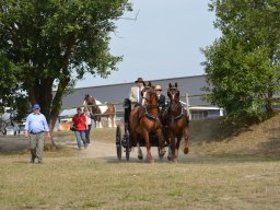DSC_9144_web